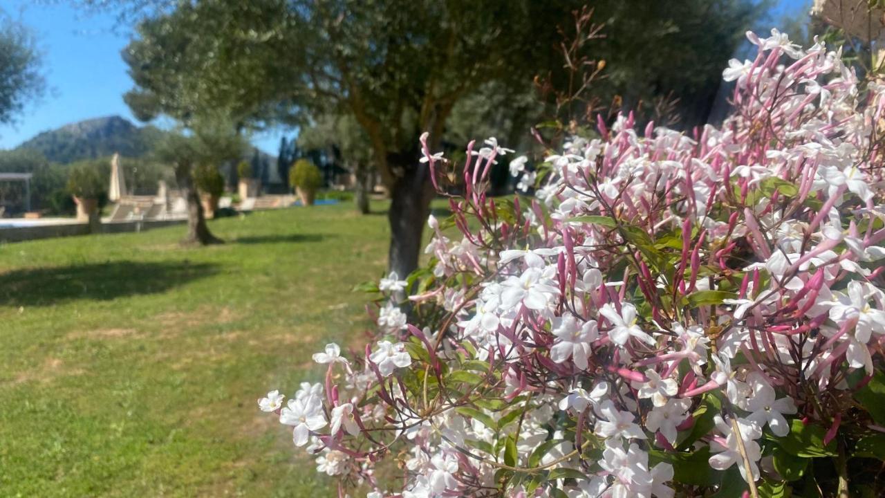 Agroturisme Son Cardaix Artá Esterno foto